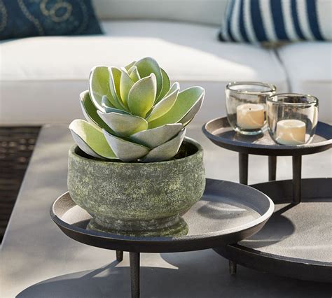 Faux Atlantis Faux Succulent Bowl Pottery Barn