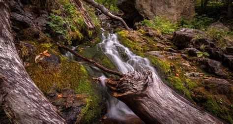 Fotos Gratis Paisaje Rbol Naturaleza Bosque Rock Cascada