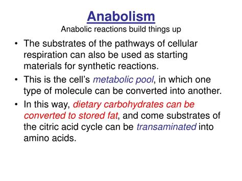 Ppt Chapter 6 Metabolism Energy And Enzymes Powerpoint Presentation