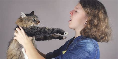 Katzenhaarallergie Diagnose Therapie Und Naturheilkunde Heilpraxis