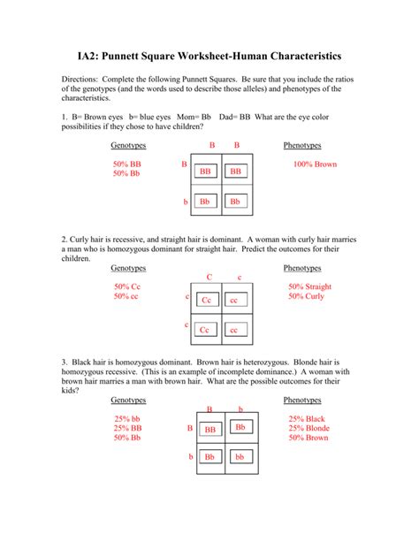 Punnett Square Worksheet