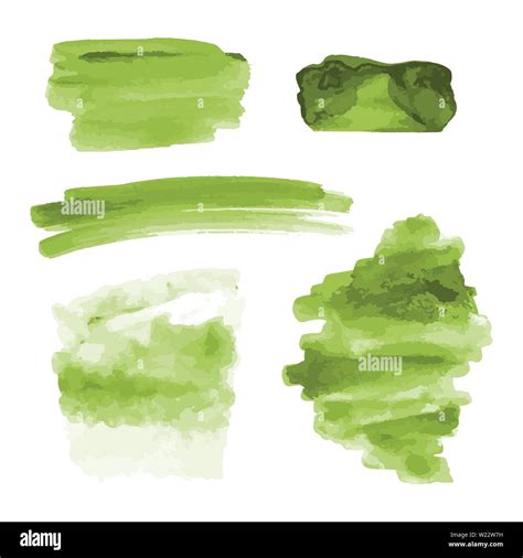 Green Watercolor Shapes Splotches Stains Paint Brush Strokes