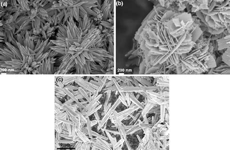 Different Zno Particles Morphologies Obtained By Solgel Method A