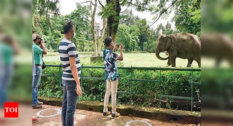 After Covid break, Kolkata zoo reopens with 700 visitors | Kolkata News ...