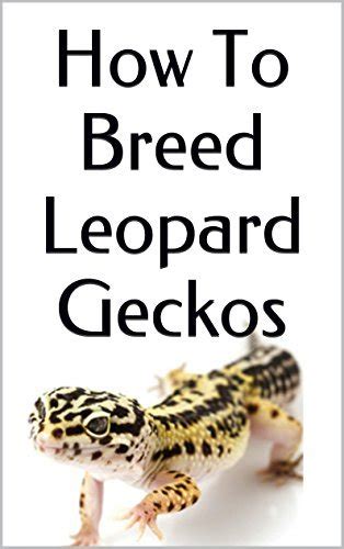 How To Breed Leopard Geckos Leopard Gecko Breeding 101 By Emily Wells