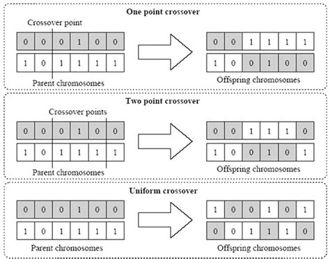 Figure 2 From Genetic Algorithms The Crossover Mutation Debate