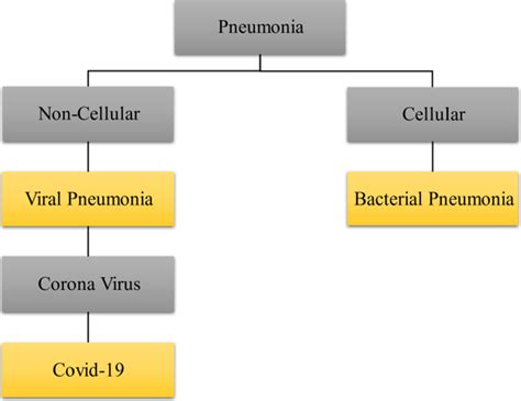 Hierarchical Classification Of Main Types Of Pneumonia Download