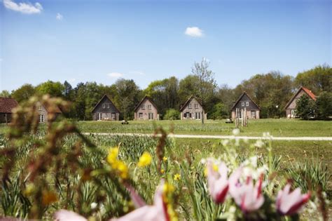 Efteling Bosrijk Efteling Vakantiepark Pretparkreizen