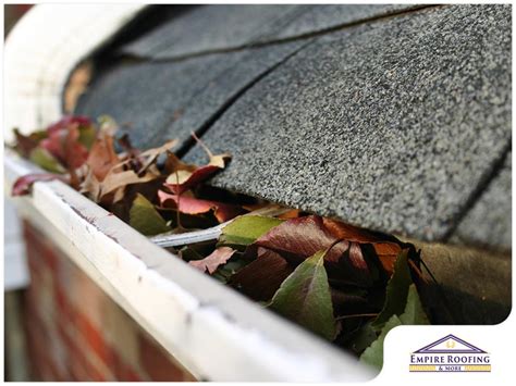 3 Common Reasons Your Gutters Are Always Clogged