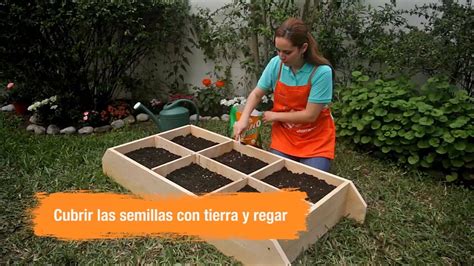 Pin De Marina Michelena En Huerto Escolar 4º Diver Como Hacer Un Huerto Huerto En Casa Huerto