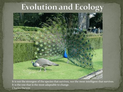 Evolution and Ecology Slideshow