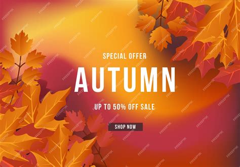 Premium Vector Autumn Sale Background Layout Decorate With Leaves