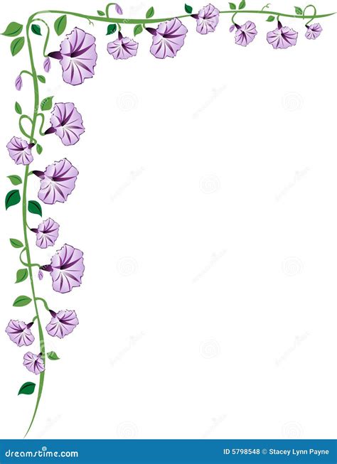 Morning Glory Vine Border, Purple Royalty Free Stock Photos - Image ...