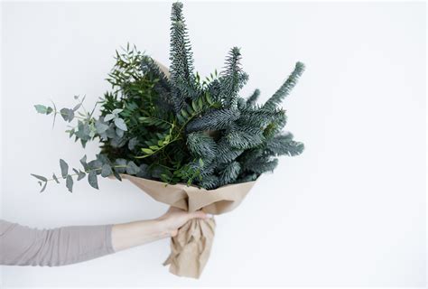 Keeping Greens Fresh - FloraLife