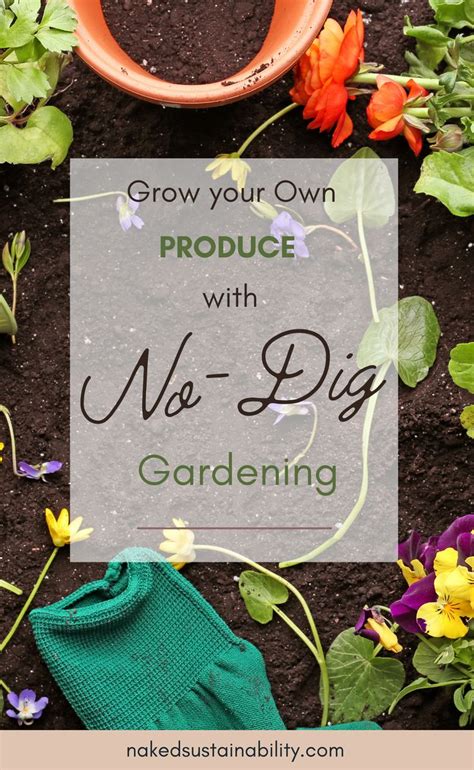 Discover The Magic Of No Dig Gardening