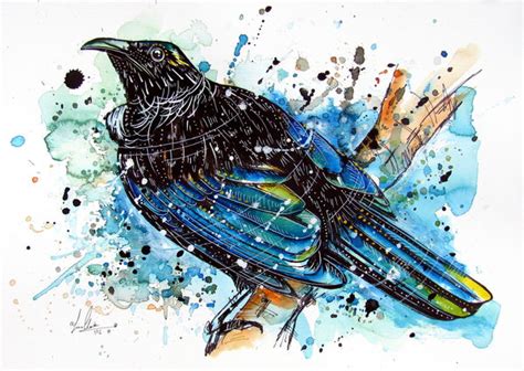 Tui Splash Archived Fionaclarkeart Co Nz