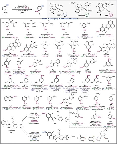 Science：钴催化c H键活化新突破 X Mol资讯