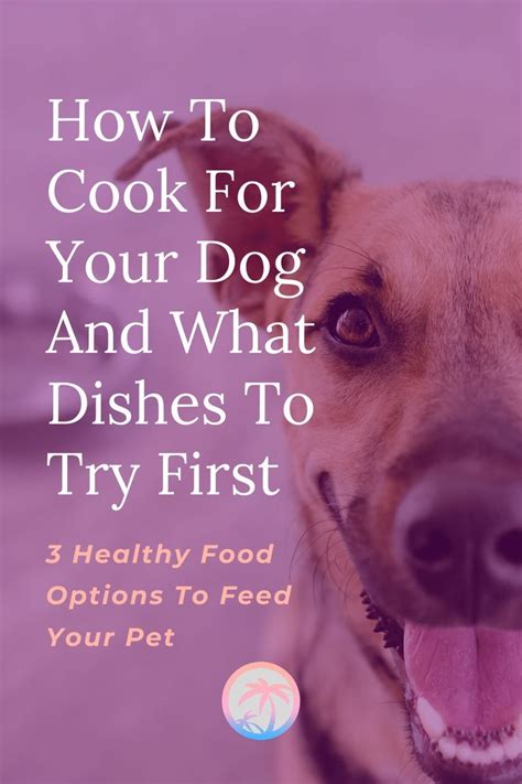 How To Cook For Your Dog And What Dishes To Try First Healthy Dog