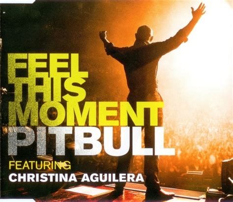 Pitbull Featuring Christina Aguilera Feel This Moment 2013 256k