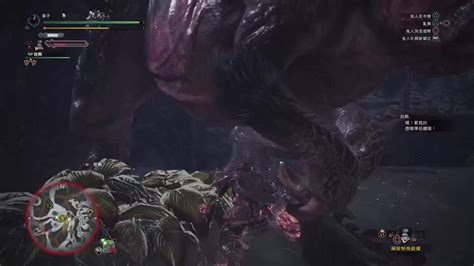 【餛飩】魔物獵人世界【mhw】401 試煉 諾拉族勇者之證 整套防具 亞蘿伊α 和 亞蘿伊的弓 亞蘿伊的戰弓 大金蠻顎龍 Youtube