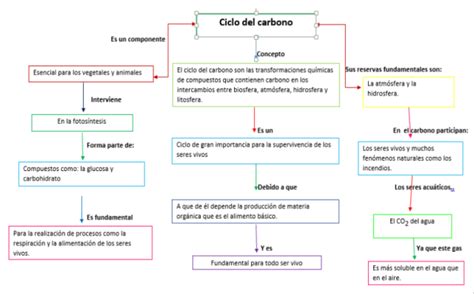 Ciclos Bioqu Micos Mapa Mental Ciclo Del Carbono