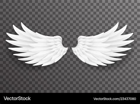 Bird Wings Design