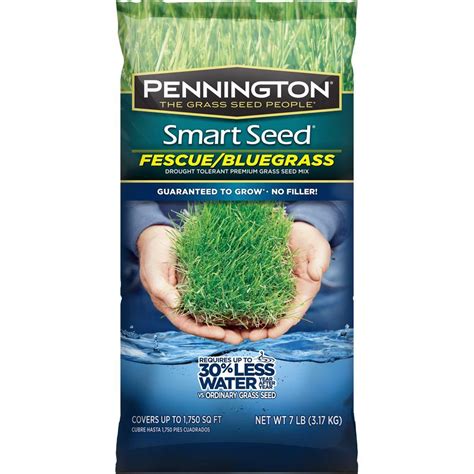 Pennington Smart Seed 7 lb. Fescue/Bluegrass Grass Seed Mix-100086835 - The Home Depot