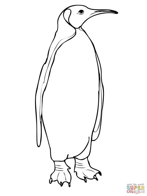 King Penguin Drawing | Free download on ClipArtMag