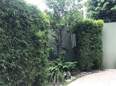 Venta Casa En Roma Sur Cuauht Moc Cdmx Eb Fi S Icasas Mx