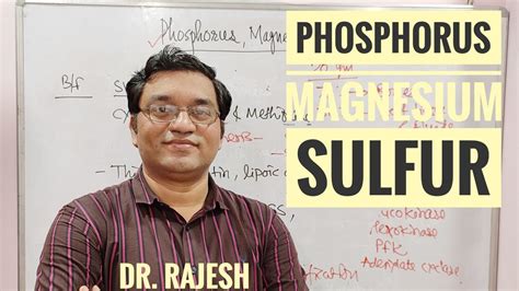 2 Phosphorus Magnesium And Sulfur Youtube