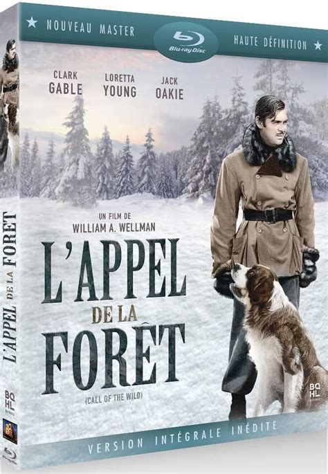 Lappel De La Forêt Blu Ray Amaray Bluecats