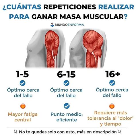 NUTRICION EJERCICIO SALUD on Instagram CUÁNTAS REPETICIONES