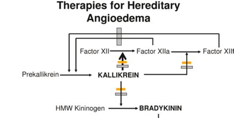 21: Hereditary Angioedema Flashcards | Quizlet