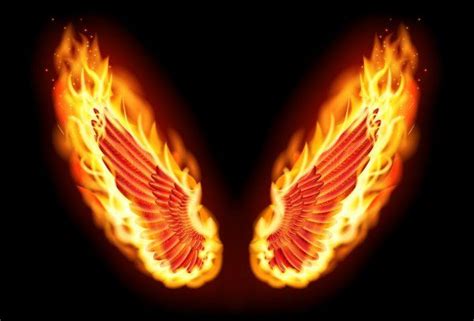 Asas De Fogo Imagem De Stock Wings Tattoo Fire Tattoo Blue Flame