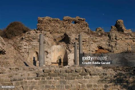 38 Ashkelon National Park Stock Photos, High-Res Pictures, and Images ...