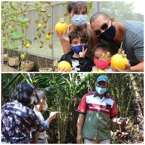 Garden Drive Thru Mekarsari Taman Buah