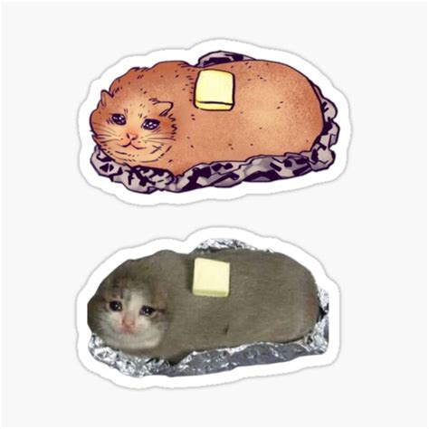 Crying Potato Cat With Butter Meme Sticker For Sale By Redakhatib