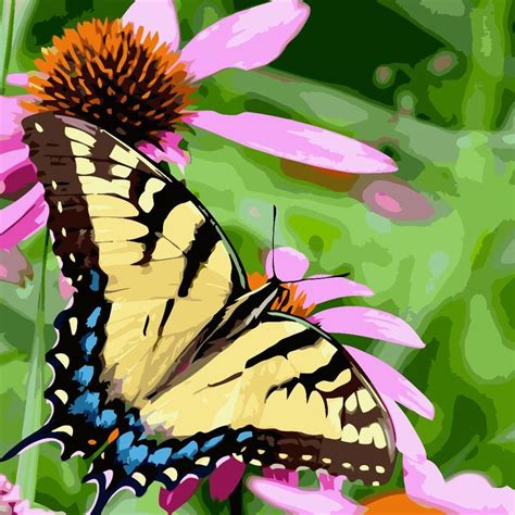 A Butterfly Sitting On Top Of A Pink Flower