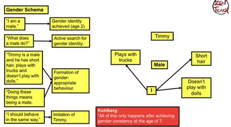 Psychological Explanations Of Gender Flashcards Quizlet