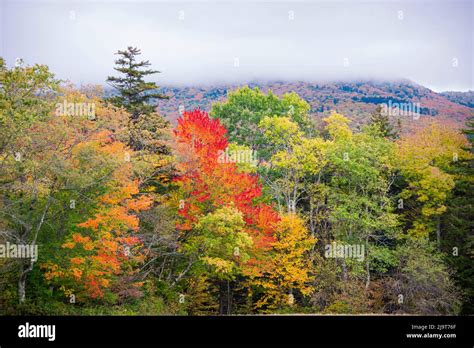 USA, Vermont, Fall foliage in Green Mountains at Bread Loaf, owned by Middlebury College Stock ...