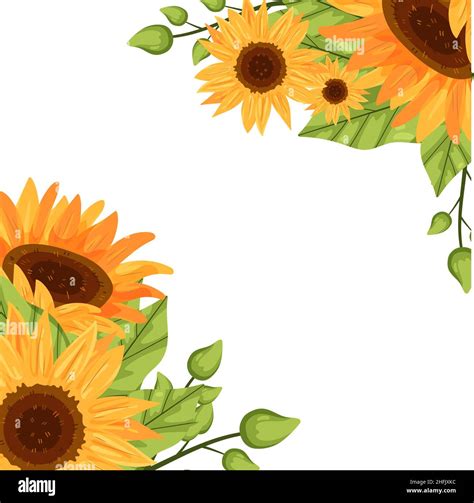 Hand drawn flat design sunflower border Vector illustration Stock ...