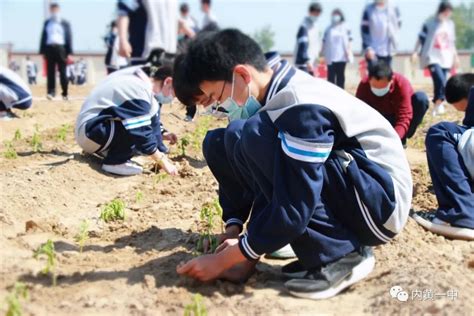 以劳树德 以劳启智 以劳笃行 以劳育美——内黄一中举行2022年“劳动教育月”活动启动仪式 内黄县第一中学