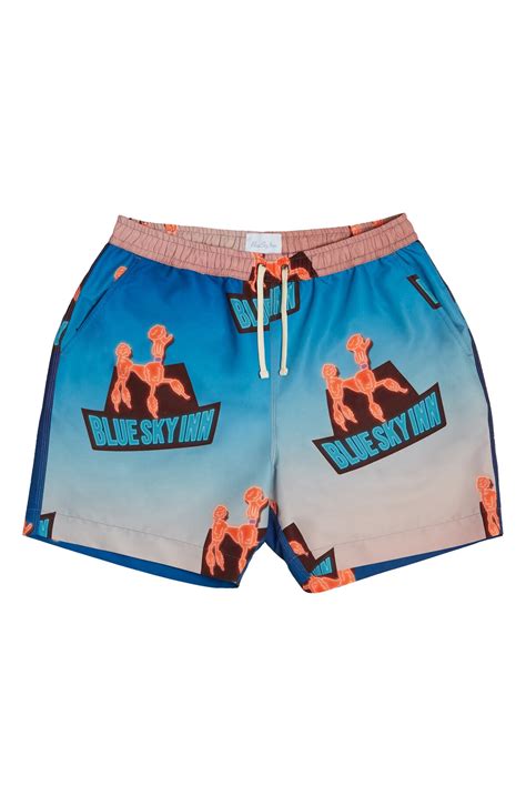 Blue Sky Inn Seasonal Swim Trunks A O Print Blue Editorialist