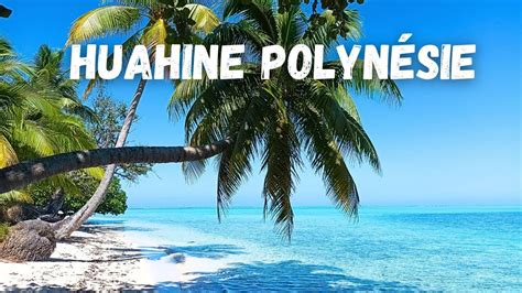 La Plage De R Ve Paradisiaque D Avea Bay Huahine En Polyn Sie