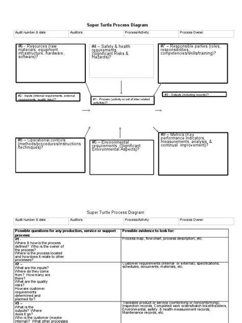 Super Turtle Process Diagram: Audit number & date: Auditors: Process ...