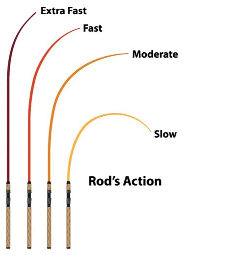 The 7 Best Surf Casting Rods For Long Distance In 2022 Fishing Fanatiks