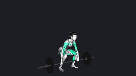 Barbell Power Clean How To Do Alternatives More