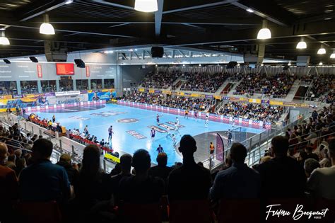 Organigramme SAHB Sélestat Alsace Handball