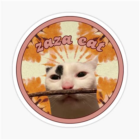 "Zaza Cat Crazy Round" Sticker for Sale by raymondthecat | Redbubble