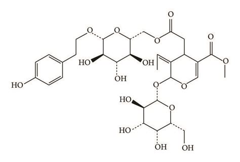 Chemical Structures Of A Matrine B Oxymatrine And C Specnuezhenide Download